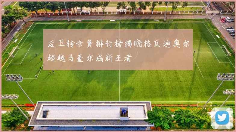 后卫转会费排行榜揭晓格瓦迪奥尔超越马奎尔成新王者