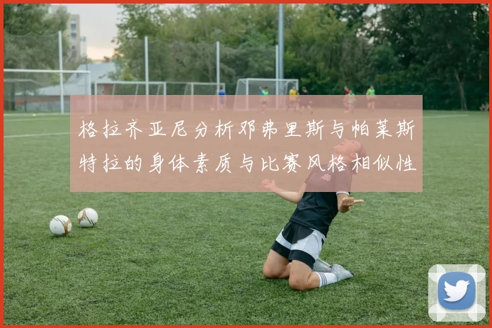 格拉齐亚尼分析邓弗里斯与帕莱斯特拉的身体素质与比赛风格相似性
